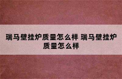 瑞马壁挂炉质量怎么样 瑞马壁挂炉质量怎么样